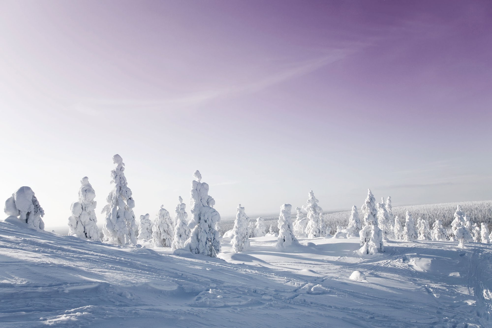 Lapland
